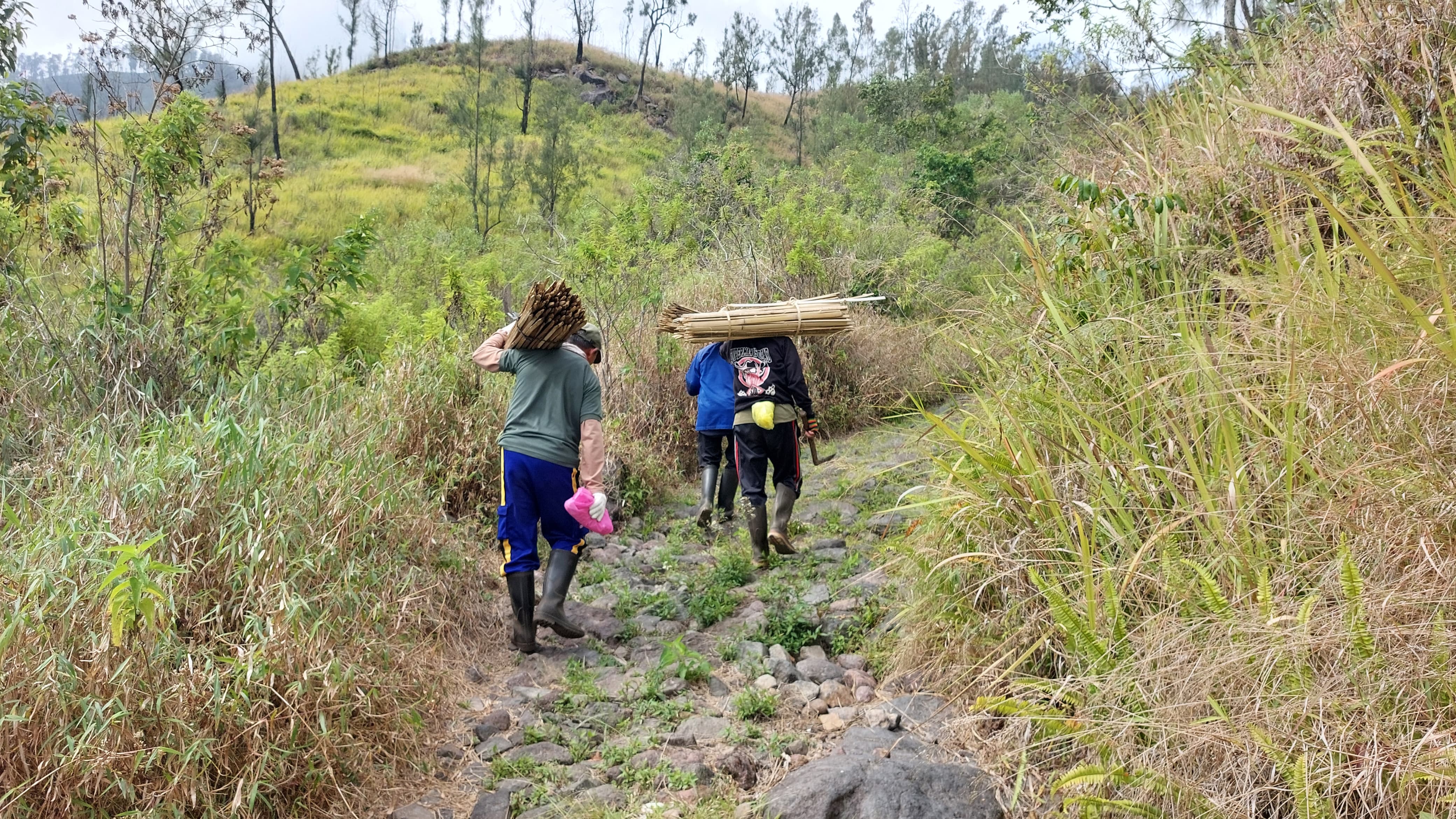 Rehabilitasi Hutan dan Lahan
