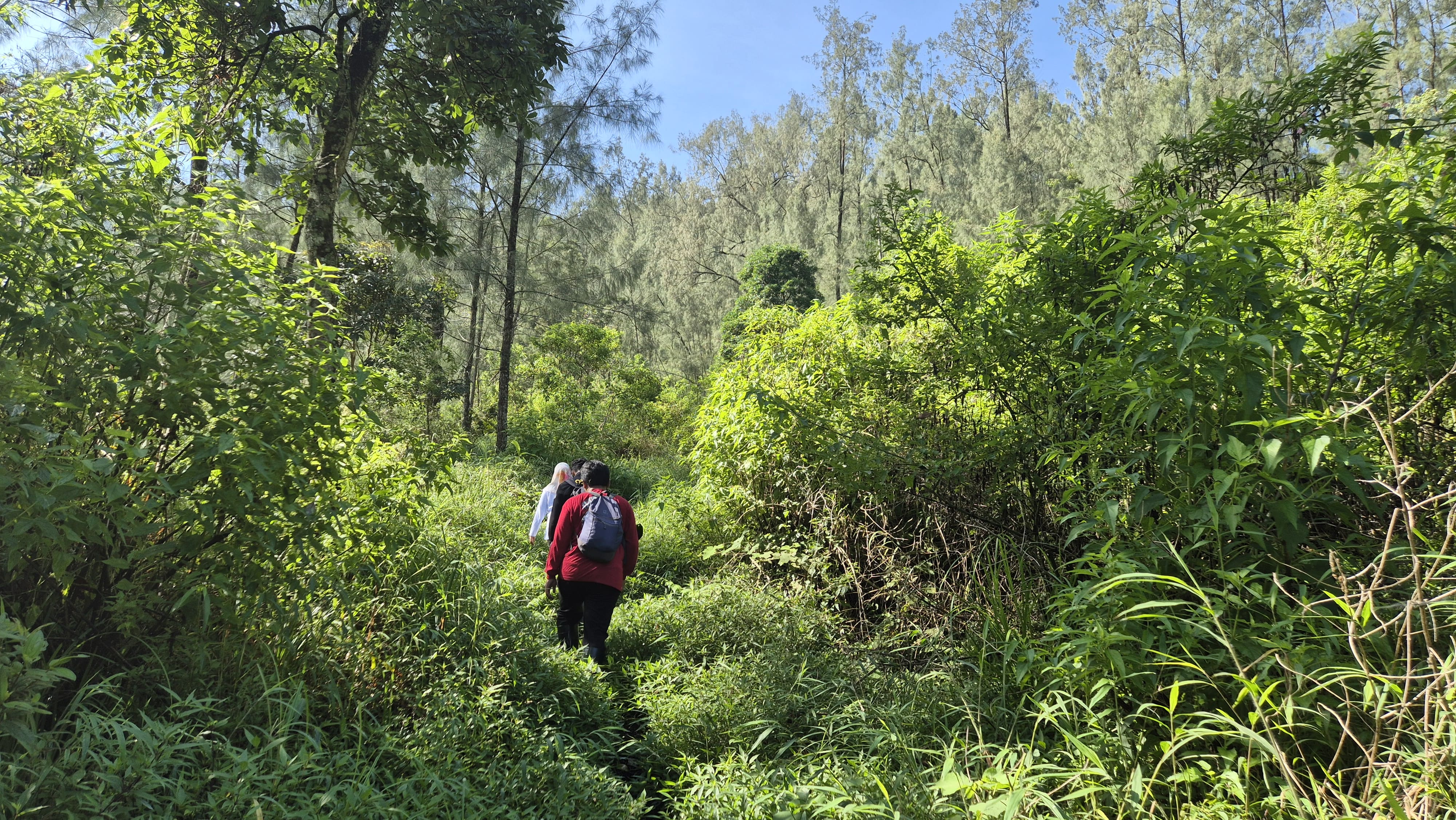 Konsultasi Pengelolaan Hutan