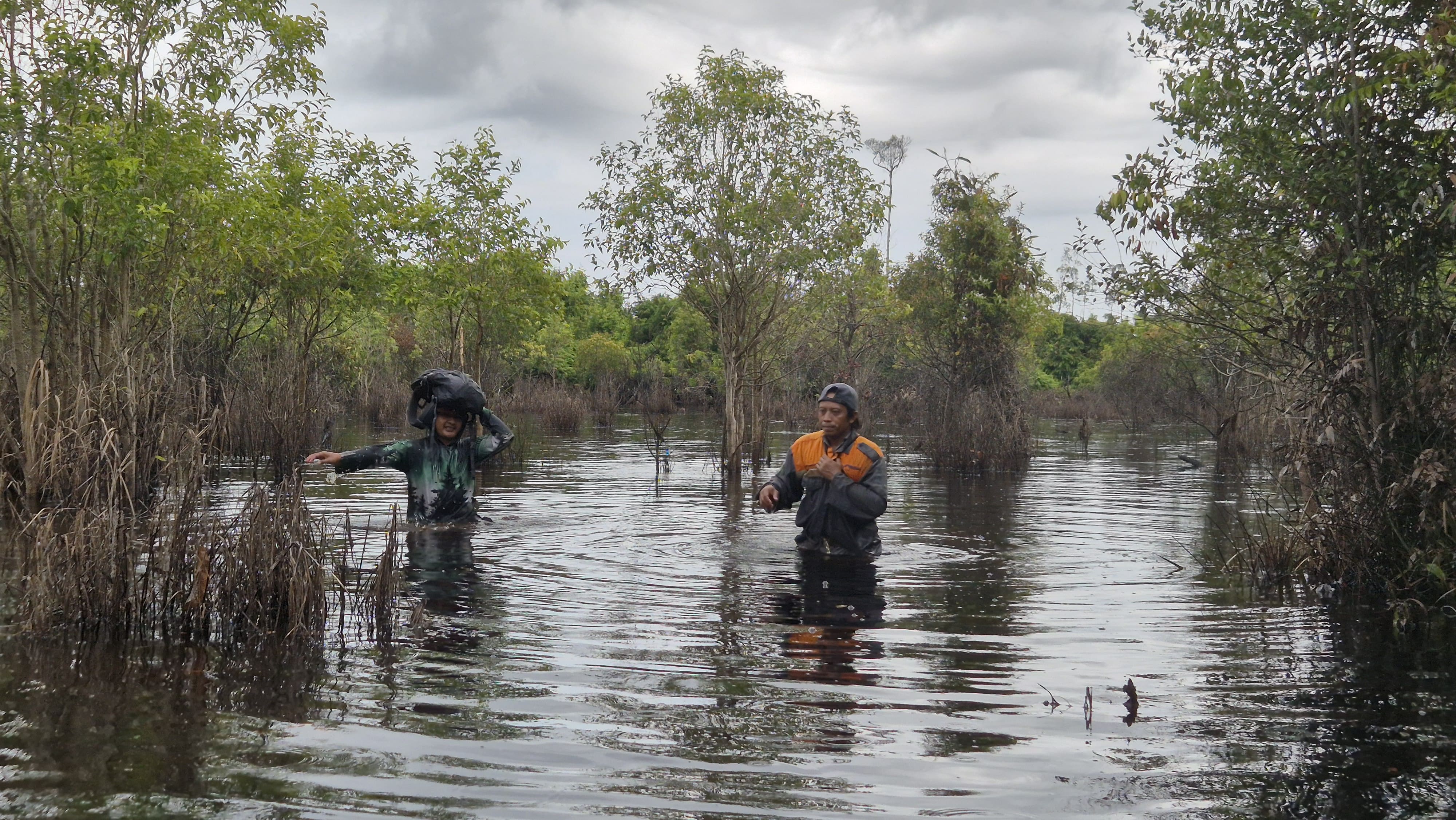 Analisis Lingkungan