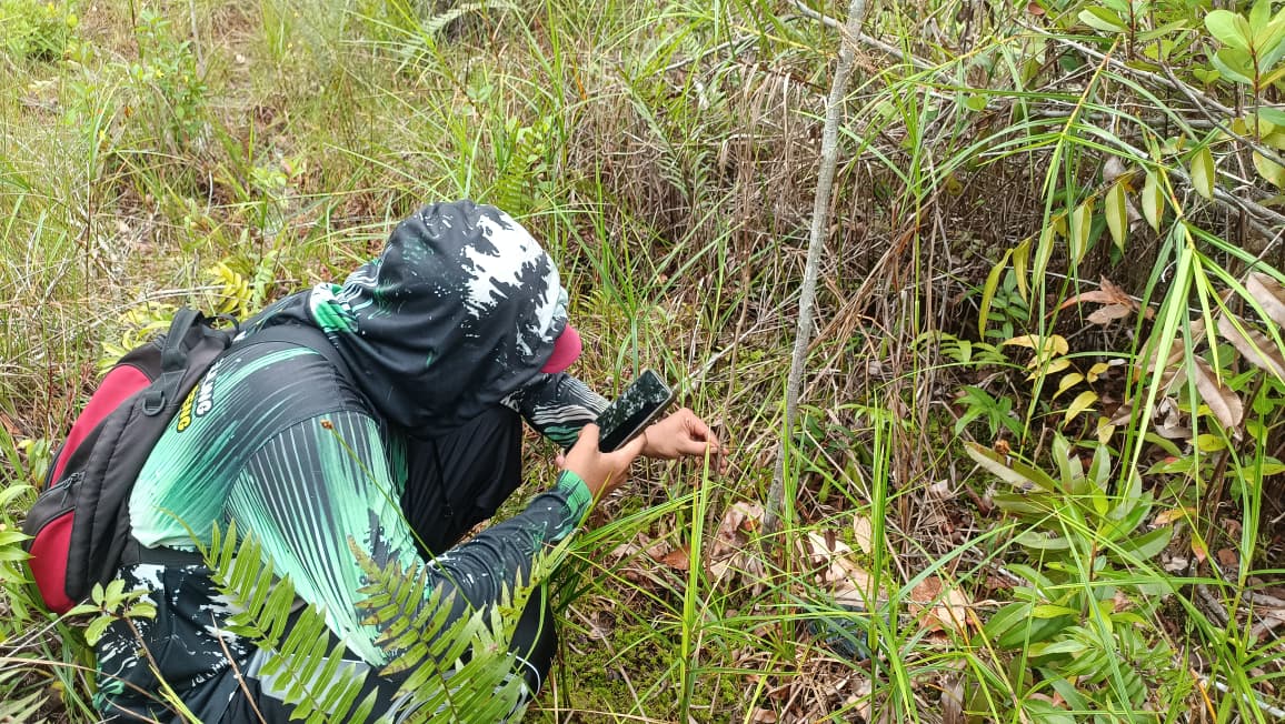 Inventarisasi Sumber Daya Hutan