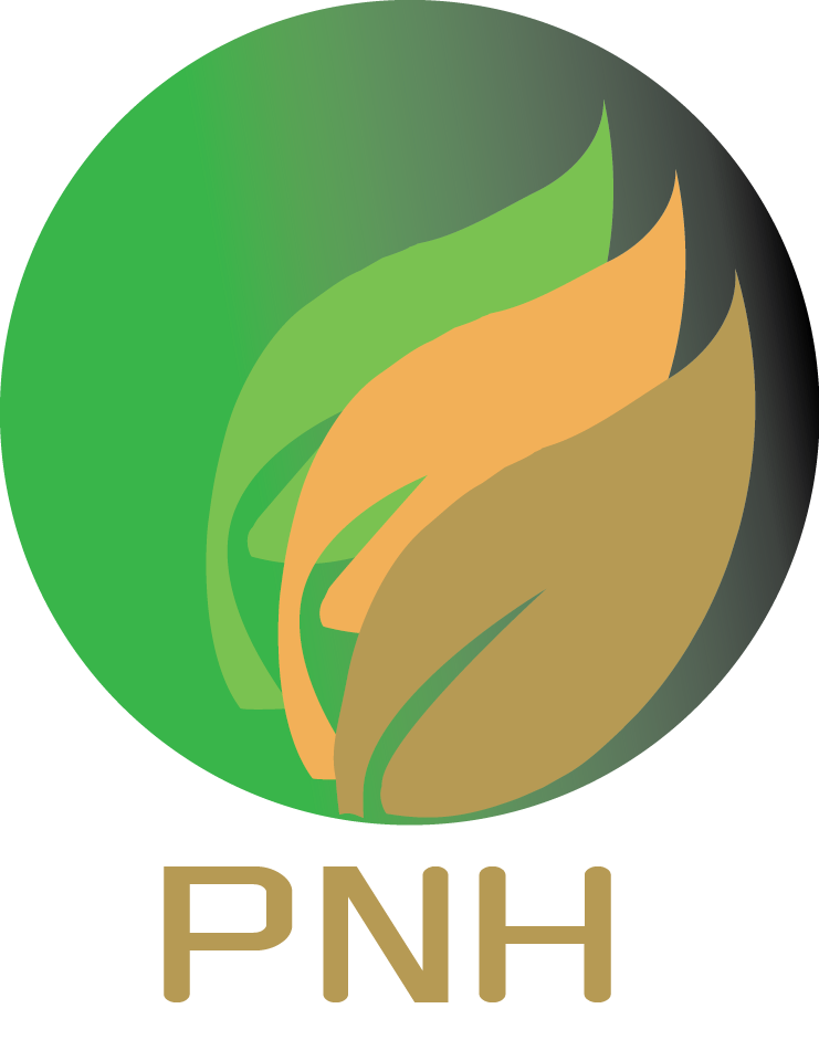 Your Company